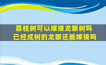 荔枝树可以嫁接龙眼树吗 已经成树的龙眼还能嫁接吗